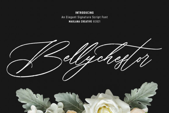 Bellychestor Script Font for Elegant Brand Identity
