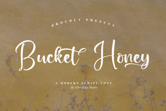Bucket Honey: A Chic Script Handwritten Font for Modern Design
