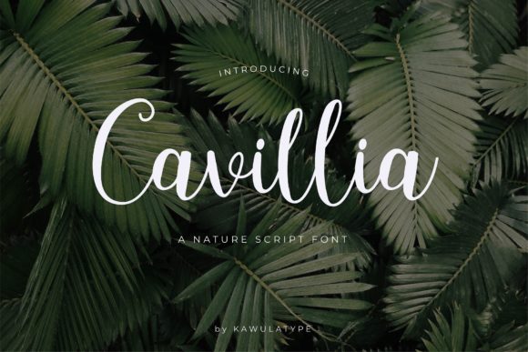 Cavillia: A Delicate Script Font for Elegant Branding
