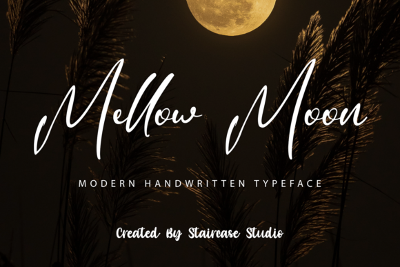 Mellow Moon: A Modern Script Font for Scroll-Stopping Brand Content