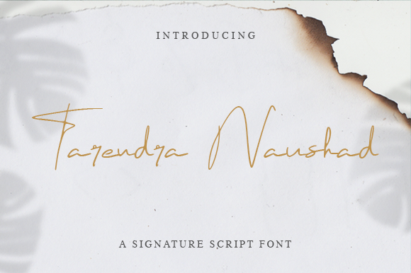 Tarendra Naushad Font for Creative Projects